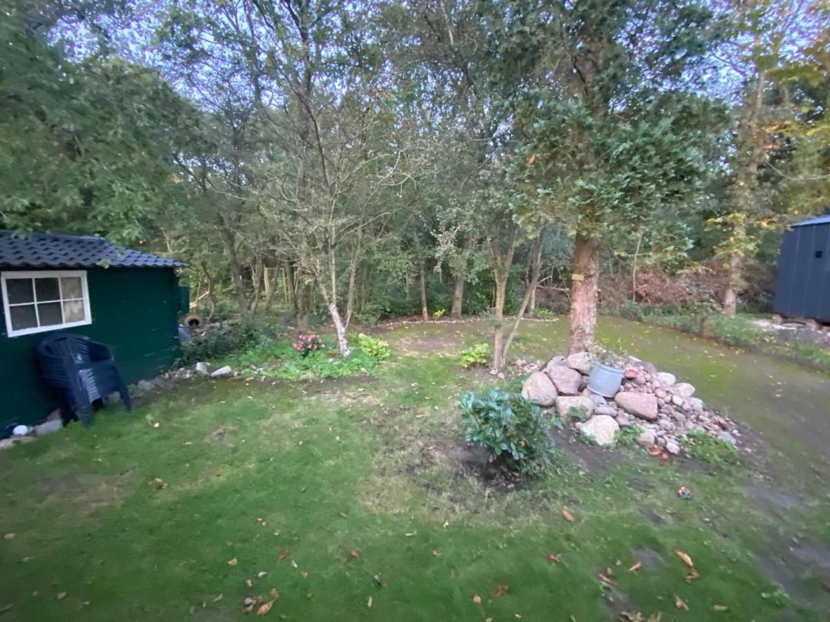 Chalet With Access To The Woods - No 147 Anloo エクステリア 写真